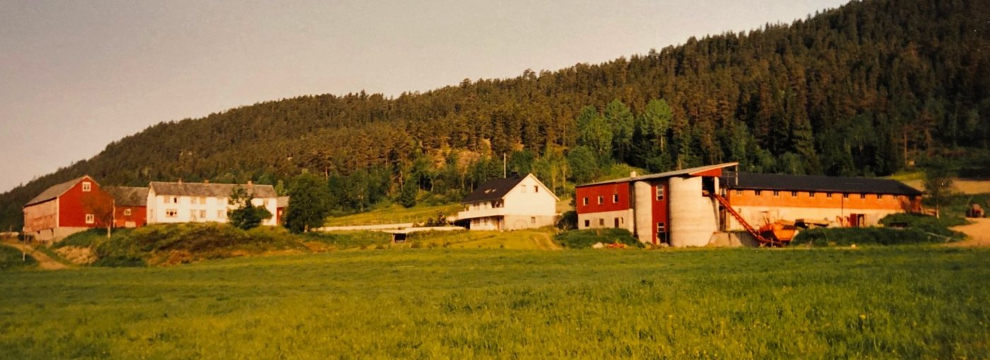Myraunet Gård across the fields in the 1970s, with the barn, silos and farmhouses under the hill