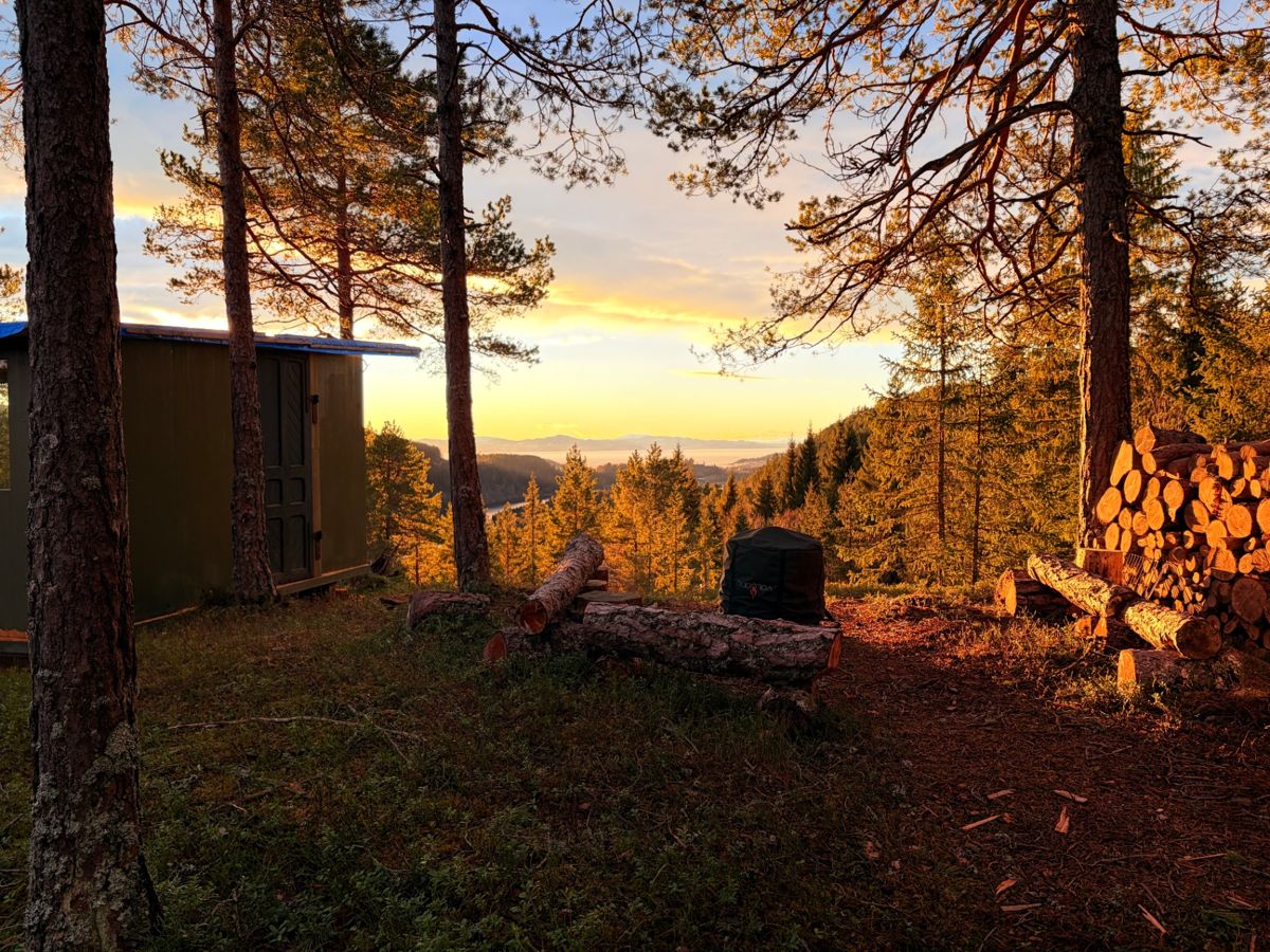 Furutoppen in the forest at sunset